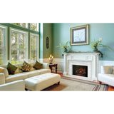  Napoleon Woodland™ 24" Electric Log Set - Fireplace Insert (NEFI24H) In A Living Area