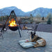 pets are safe near a fire pit grill