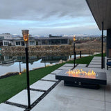 Hercules Fire Torch and Newport Fire Pit