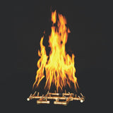 Warming Trends CFB180 Original CROSSFIRE™ 17" Brass Gas Burner with Tall Flame